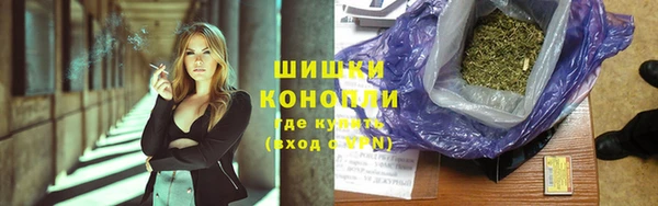 ГАЛЛЮЦИНОГЕННЫЕ ГРИБЫ Арсеньев
