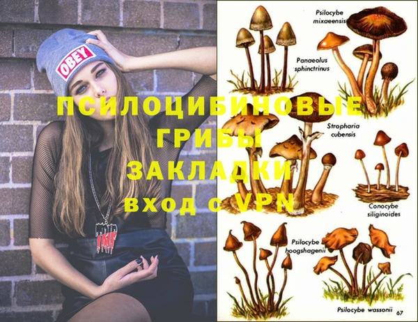 круглые Армянск