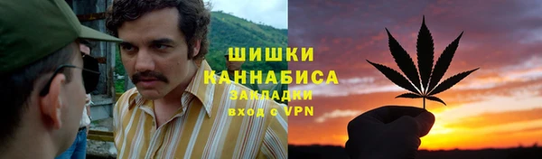 ГАЛЛЮЦИНОГЕННЫЕ ГРИБЫ Арсеньев